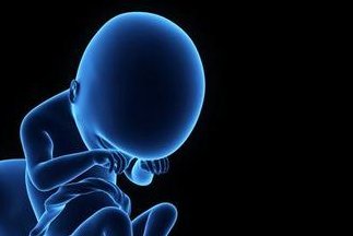 试管移植囊胚有什么禁忌 试管囊胚移植成功率最高？